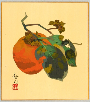 Unknown: Persimmon - Artelino