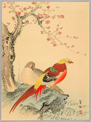 Kikuchi Hobun After: Two Chinese Pheasants - Artelino