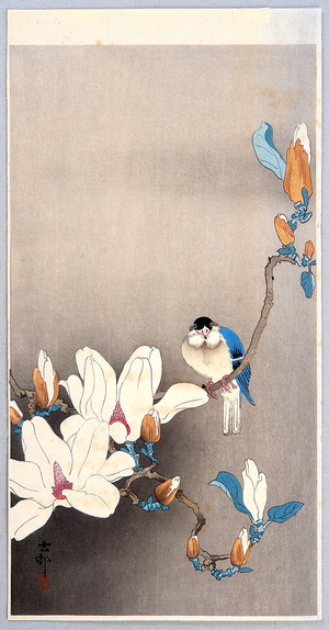 小原古邨: Blue Bird and Magnolia - Artelino