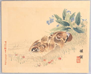 Japanischer Druck "Sparows and Violet" von Kono Bairei, 幸野楳嶺 (Kono Bairei)