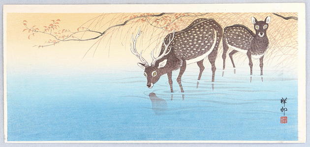 小原古邨: Deer in Shallow Water - Artelino
