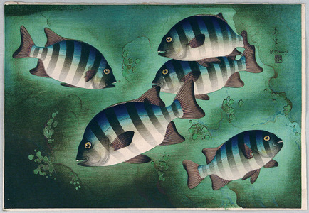 Ono Bakufu: Striped Fish - Artelino