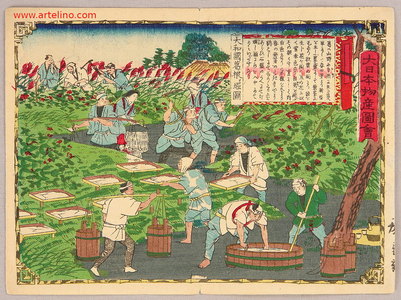 三代目歌川広重: Harvesting Arrowroot - Pictures of Products and Industries of Japan - Artelino