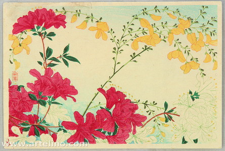 Takahashi Hiroaki: Azalea and Yellow Flowers - Artelino