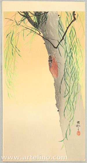 小原古邨: Cicada on a willow tree - Artelino