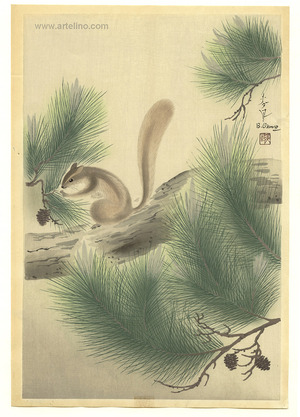 Ono Bakufu: Squirrel on a Pine Tree - Artelino