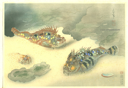 Ono Bakufu: Scorpion Fish - Pictures of Fish in Japan Vol.3 - Artelino