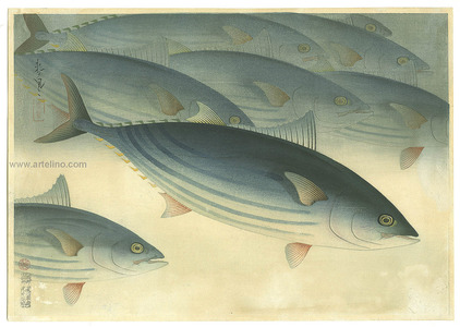 Ono Bakufu: Bonito - Pictures of Fish in Japan Vol.3 - Artelino