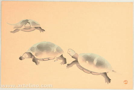 無款: Turtles - Artelino