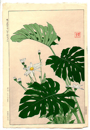 Kawarazaki Shodo: House Plants - Artelino