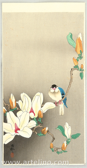 Ohara Koson: Blue Bird and Magnolia - Artelino