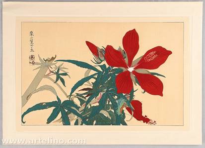Tsuchiya Rakusan: Selected Pictures of Koushisei - Grasshopper and Chinese Hibiscus - Artelino