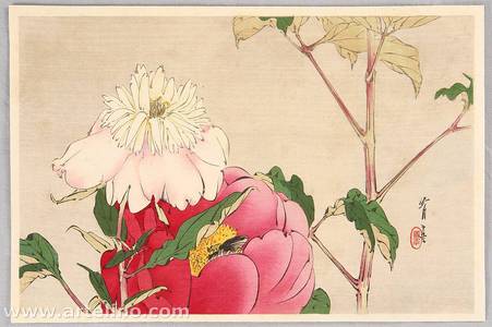 Watanabe Seitei: Birds and Flowers by Seitei - Peony - Artelino
