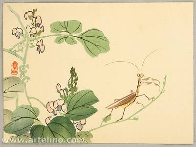 無款: Mantis and Flowers - Artelino