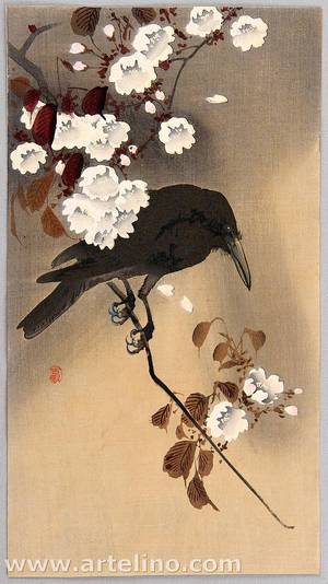 Ohara Koson: Crow and Cherry Blossoms - Artelino