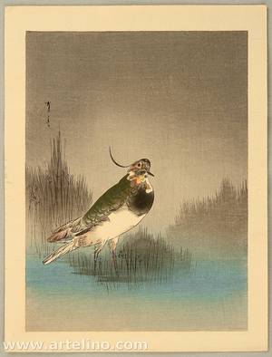 Watanabe Seitei: Waterfowl - Artelino