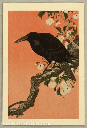 小原古邨: Crow and Cherry Blossoms - Artelino