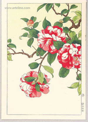 Nishimura Hodo: Camellia - Artelino