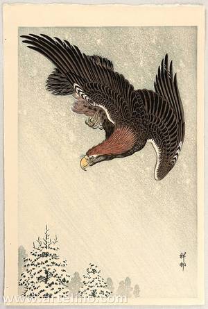 小原古邨: Eagle in Flight against Snowy Sky - Artelino