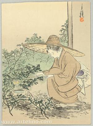 Ogata Gekko: Preparing Tea Ceremony - Artelino