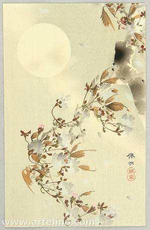 Unknown: Cherry Blossoms in the Moonlight - Artelino