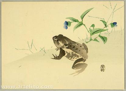 Suzuki Kason: Frog - Artelino