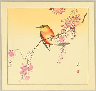 小原古邨: Red Bird and Cherry Blossoms - Artelino