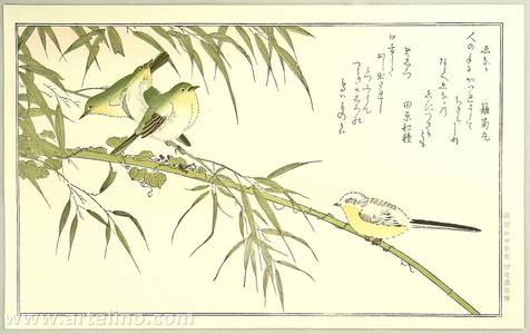 喜多川歌麿: Long-tailed Tit and Japanese White-eye - Myriad Birds Compared in Humorous Verse - Artelino