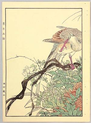今尾景年: Nest of Mountain Pigeon - Keinen Gafu - Artelino