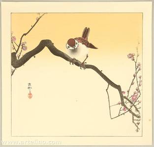 Ohara Koson: Sparrow on Plum Branch - Artelino