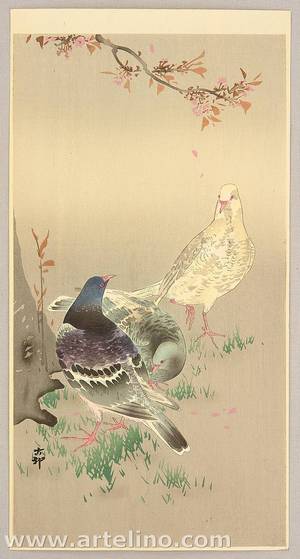小原古邨: Pigeons under Cherry Tree - Artelino