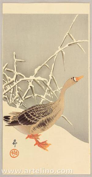 Ohara Koson: Goose and Reeds - Artelino