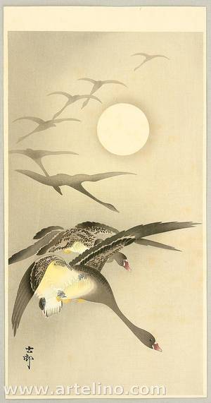 小原古邨: Geese and the Moon - Artelino