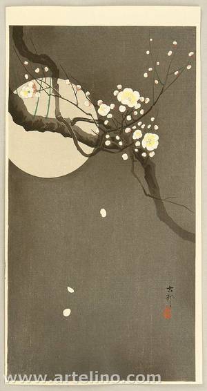 Ohara Koson: Flowering Plum and Moon - Artelino