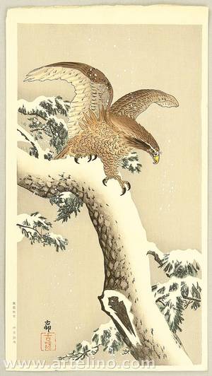 Ohara Koson: Eagle - Artelino