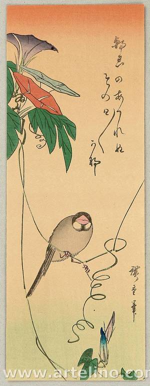 Utagawa Hiroshige: Bird and Morning Glory - Artelino