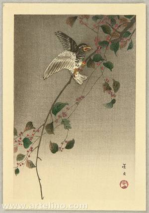 Unknown: Bird on Nandin Tree - Artelino