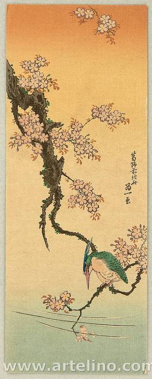 Katsushika Hokusai: King Fisher and Cherry - Artelino