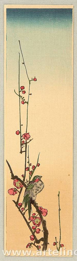 Utagawa Hiroshige: Bird and Plum - Artelino