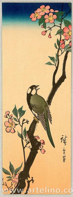 Utagawa Hiroshige: Bird and Cherry Blossoms - Artelino