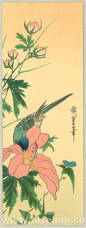 歌川広重: Bird and Chinese Hibiscus - Artelino