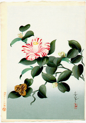 Ono Bakufu: Camellia - Artelino