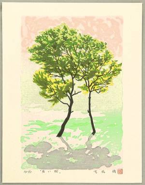 Morozumi Osamu: Young Trees - Artelino