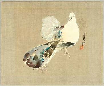Ogata Gekko: Two Pigeons - Artelino