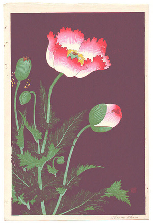 Japanese Print "Poppies" by Ohara Koson, 小原古邨 (Ohara Koson)