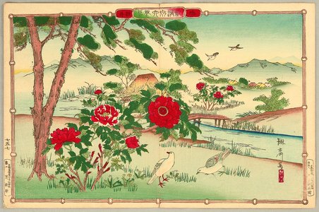 Utsushi Rinsai: Rinsai's Bird and Flowers - Pigeons and Peony - Artelino