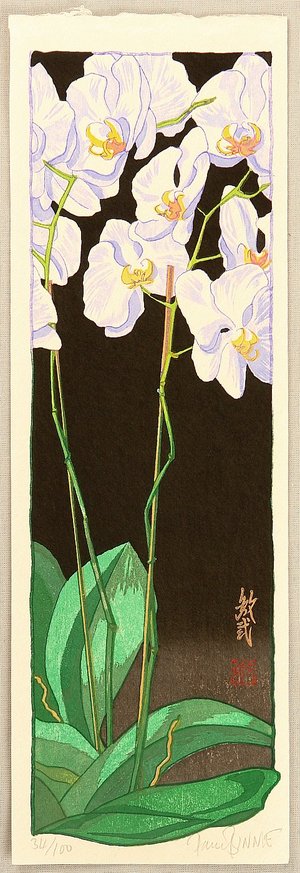 Paul Binnie: Orchids Night - Artelino