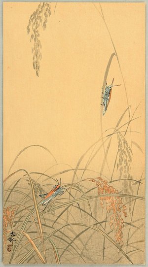 Ohara Koson: Grasshoppers - Artelino