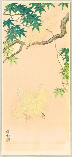 Ohara Koson: Sparrows in Maple Tree - Artelino