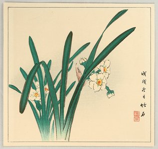 Nagamachi Chikuseki: White Daffodils - Artelino